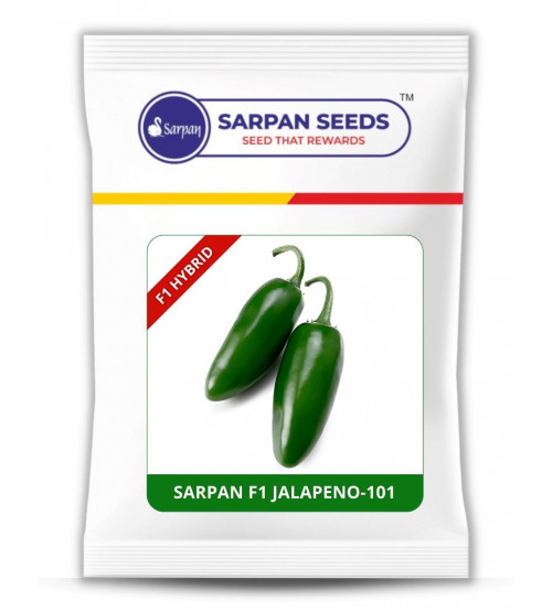 Chilli / Hot Pepper Sarpan F1 Jalapeno-101 10 grams